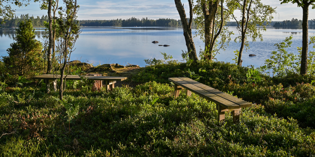 Utsikt över en sjö från land där några bänkar står